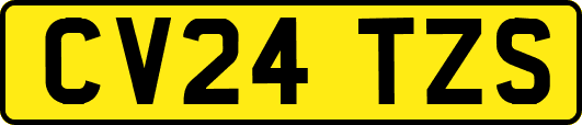 CV24TZS