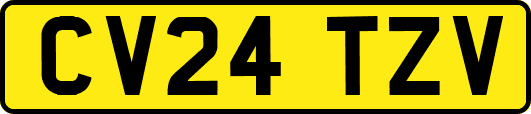 CV24TZV