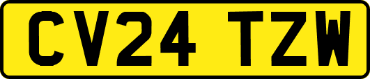 CV24TZW