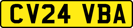 CV24VBA