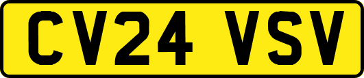 CV24VSV