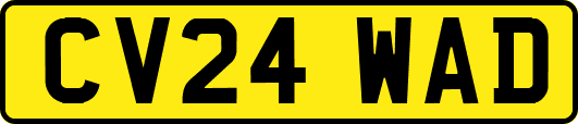 CV24WAD