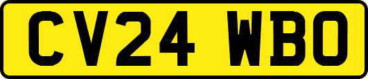 CV24WBO