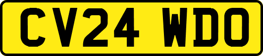 CV24WDO