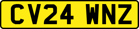 CV24WNZ