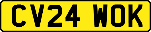 CV24WOK