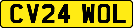 CV24WOL