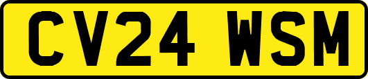 CV24WSM