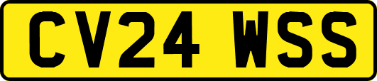 CV24WSS