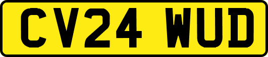 CV24WUD
