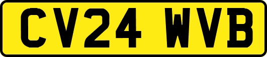 CV24WVB