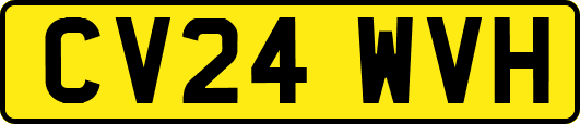 CV24WVH