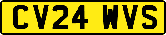 CV24WVS