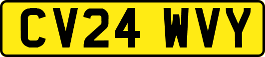CV24WVY