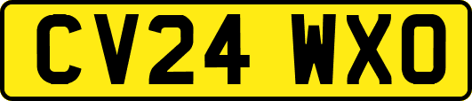 CV24WXO