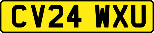 CV24WXU