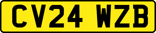 CV24WZB