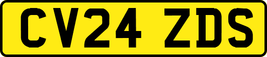 CV24ZDS