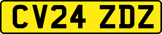 CV24ZDZ