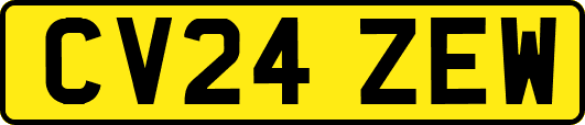 CV24ZEW