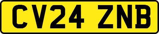 CV24ZNB
