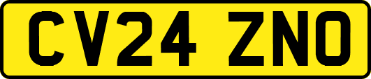 CV24ZNO