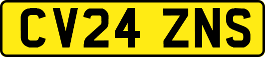 CV24ZNS