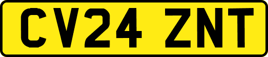 CV24ZNT