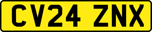 CV24ZNX