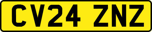 CV24ZNZ