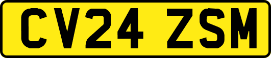 CV24ZSM