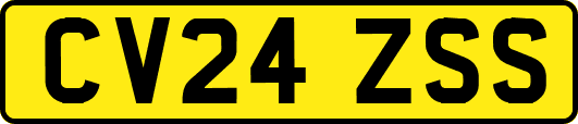 CV24ZSS