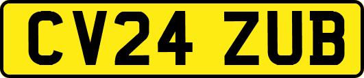 CV24ZUB