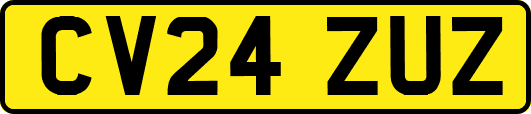 CV24ZUZ