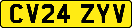 CV24ZYV