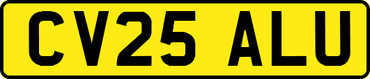 CV25ALU