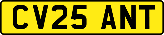 CV25ANT