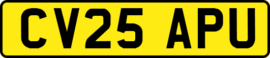 CV25APU