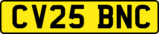 CV25BNC