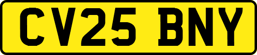 CV25BNY