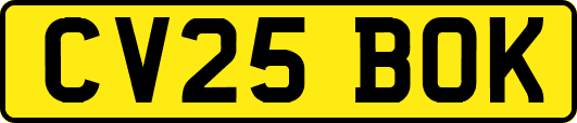CV25BOK
