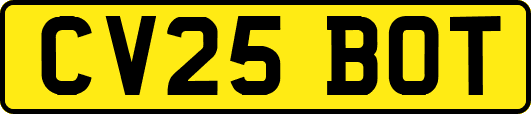 CV25BOT