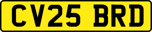 CV25BRD