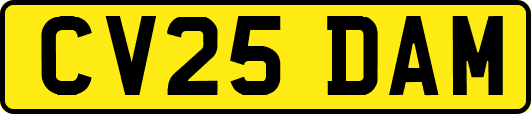 CV25DAM