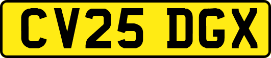 CV25DGX