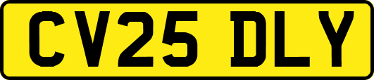 CV25DLY