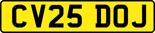 CV25DOJ