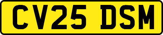 CV25DSM