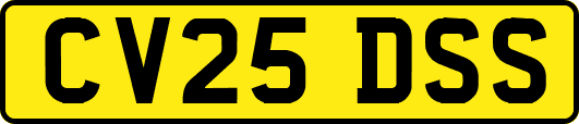 CV25DSS