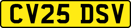 CV25DSV